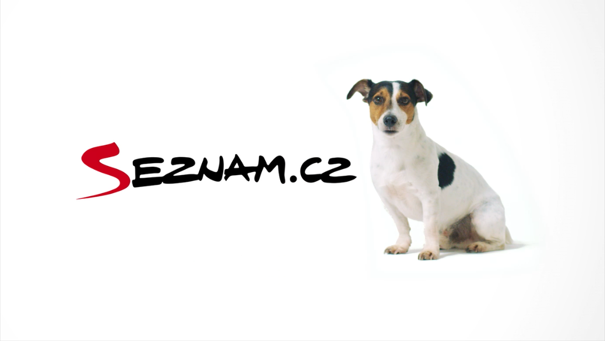 Seznam.cz – obsahová, reklamná, technologická, znalostná, sociálna a komunikačná platforma